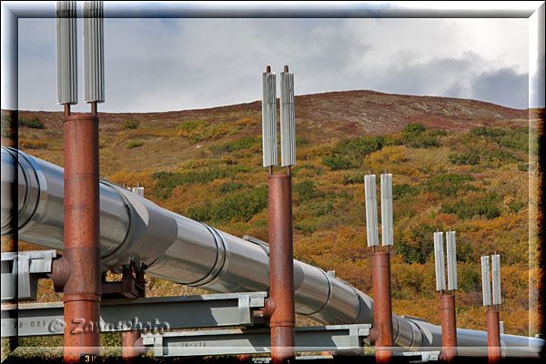 Radiatoren der Alaska Pipeline dienen zur Kühlung der Stützrohre