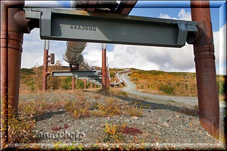 Gleistütze der Alaska Pipeline, die an jedem Stützrohrbereich angebracht ist