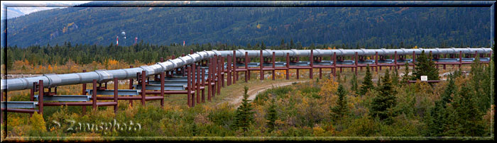 Alaska Pipeline quert oberirdisch ein Gebiet mit Permafrostboden