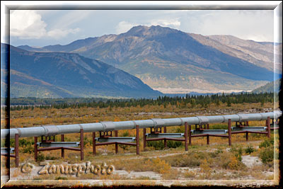 Auf Rohrstelzen verläuft die Alaska Oilpipeline  durch die Landschaft
