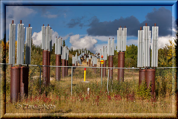 Kühlradiatoren, zeigen sich über den eingegrabenen Rohren der Pipelinestützen der Alaska Pipeline
