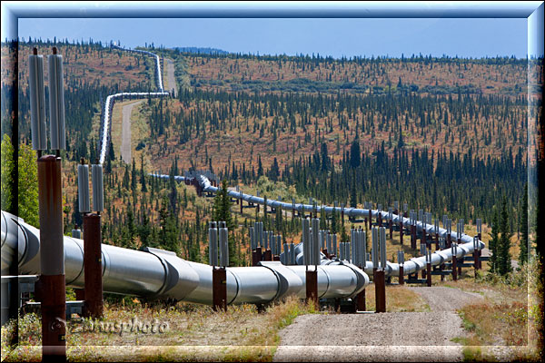 Ansicht der Oil-Pipeline in Bögen durch die Alaskanische Landschaft