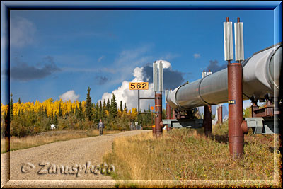 Person zum Größenvergleich -Mensch und Technik- neben der Alaska Oilpipeline