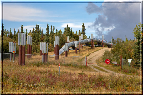 Alaska Pipeline kommt nach einer Strassenunterführung wieder an die Erdoberfläche