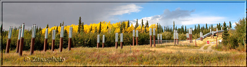 Kühlelemete an den Köpfen der Stützrohre  mit vielen Stativen vor Ort an der Alaska Pipeline