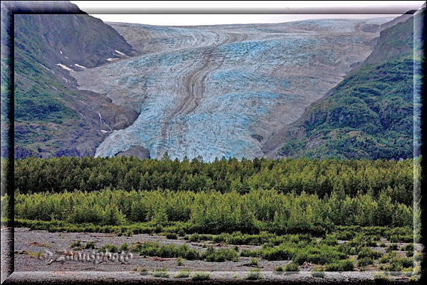 Exit Glacier, Ansicht des Glacier nahe Seward