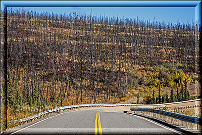 Alaska, durch diverse Gebiete führt der Taylor Highway oft an abgebrannten Abschnitten vorbei