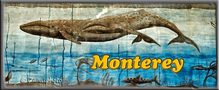 Monterey, Titelbild zur Webseite
