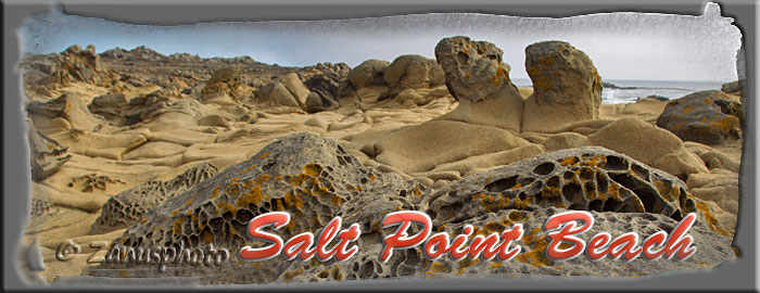 Salt Point State Park, Titelbild zur Webseite