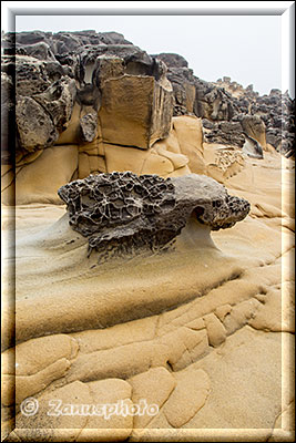 Salt Point State Park, Tafonis sitzen oben auf dem Rücken der Felsen