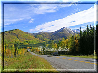 Herbstliche Wälder am Alaska Highway
