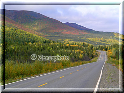Alaska Highway nördlich von Tok