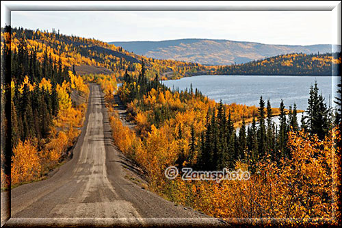 Gravel Road im gelben Herbstwald mit blauem Lake
