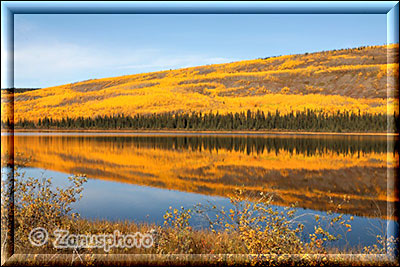 Gelb spiegelt sich der bewaldete Berghang im Lake