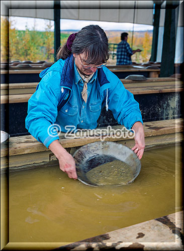 Besucherin mit Goldpan beim Goldwaschen
