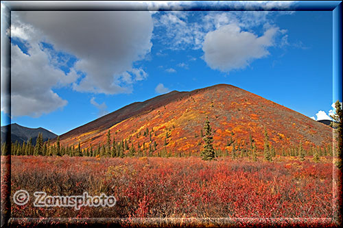 Bunter Hügel in Herbstfarben
