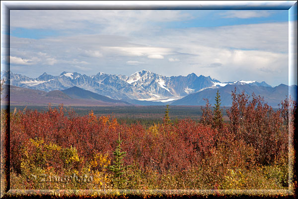 Alaska, Alaska Range am Horizont