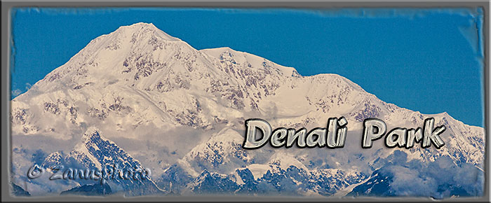 Titelbild der Webseite Denali Park