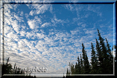 Alaska, Wolkenfelder über dem Wald