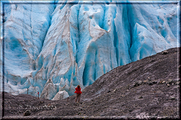 Einsamer Besucher vor der Eiswand des Exit Glaciers