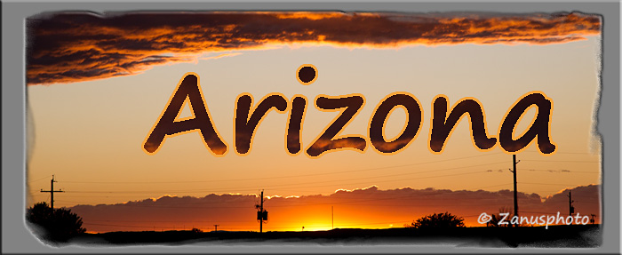 Titelbild der Webseite Arizona