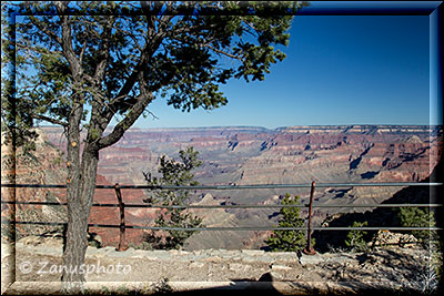 Auf die Nordseite des Grand Canyons immer ein toller Blick