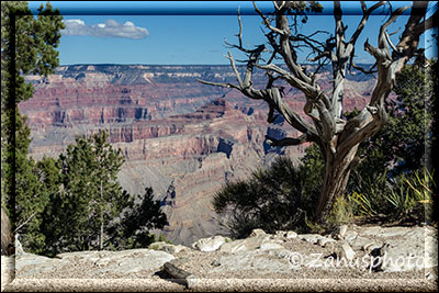 Von einer Bushaltestelle können wir den ersten Blick in den Grand Canyon hinab geniessen