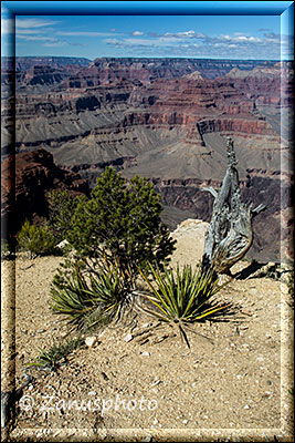 Sicht auf die Nordseite des Grand Canyon