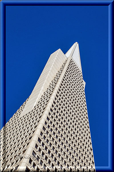 San Francisco 3, direkt von unten sieht der Turm der Trans America Pyramid ganz überwältigend aus