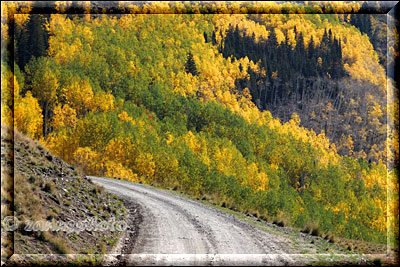 Last Dollar Road mit Ausblick auf grüne und gelbe Aspen