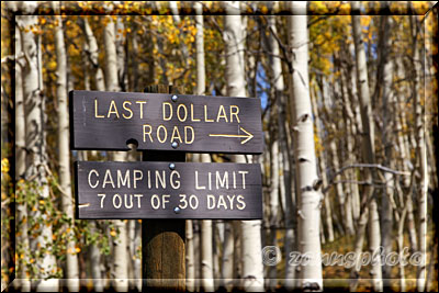 Loast Dollar Road mit einem Campground am Waldrand