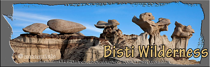 Titelbild der Webseite Bisti Wilderness