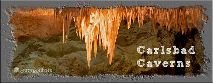 Carlsbad Caverns, titelbild der Webseite Carlsbad Caverns