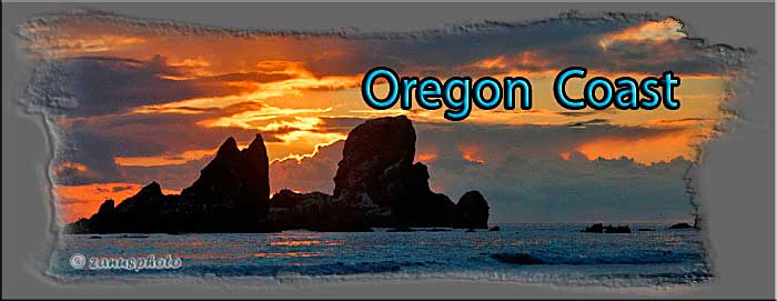Titelbild der Webseite Oregon
