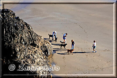 Urlauber führen ihre Hunde am Sandstrand spazieren