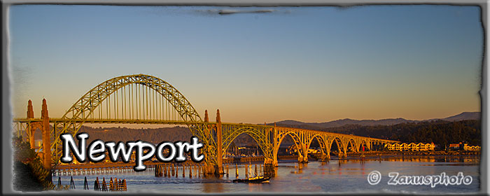 Titelbild der Webseite Newport