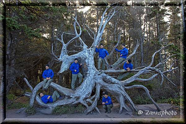Sieben Brüder auf einer Baumwurzel