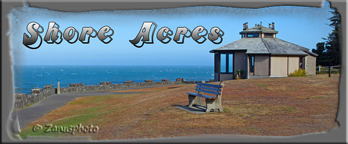 Titelbild der Webseite Shore Acres
