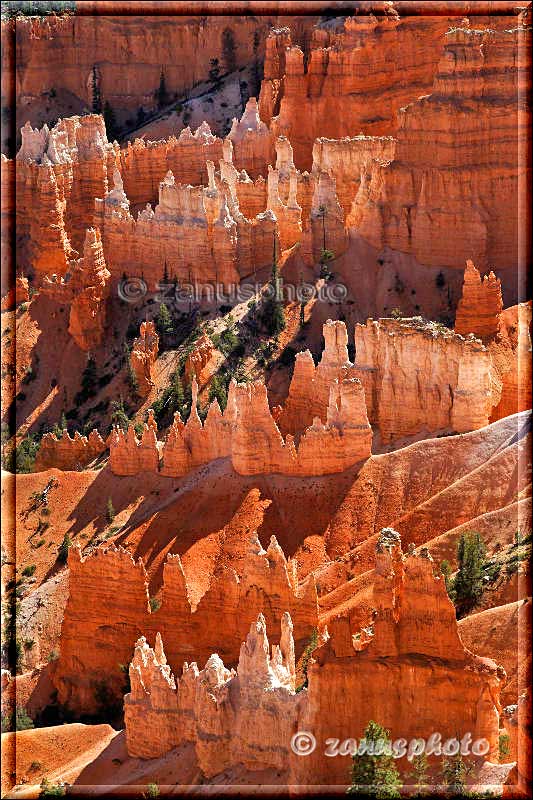 Wunderschöner Blick in den Canyon auf vielfarbige Hoodoos und Wände.