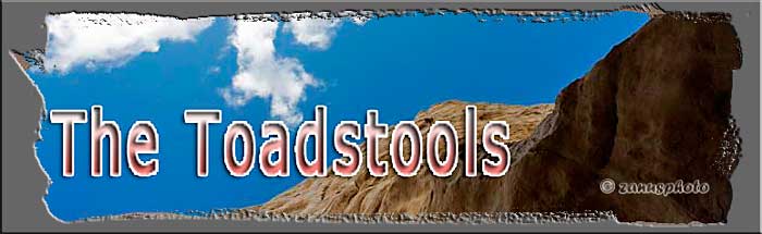 Titelbild der Webseite Toadstools