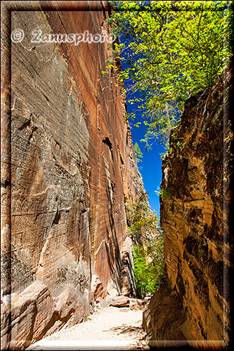 Schmaler Canyon mit hohen Wänden am Hidden Canyon