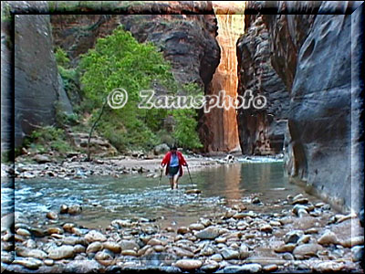 Wanderer mit engem Canyon im Hintergrund