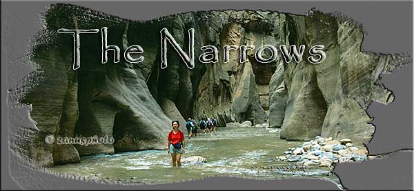 Titelbild der Webseite The Narrows