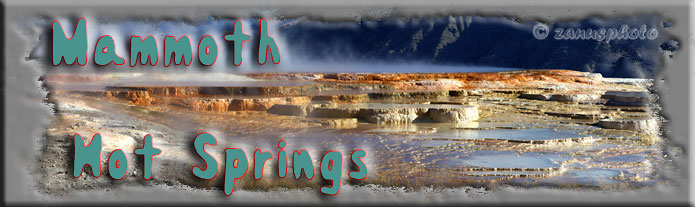 Titelbild der Webseite Mammoth Hot Springs