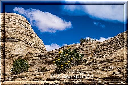 Goblin Valley, an dieser Kletterstelle sind wir aufgestiegen