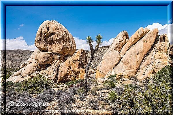 Joshua Tree, jetzt sind wir am Sheep Pass wo man auch Campen könnte