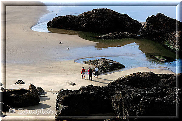 Cannon Beach, vom Ecola State Park geht der Blick nach unten auf die Beach wo gerade Personen spazieren