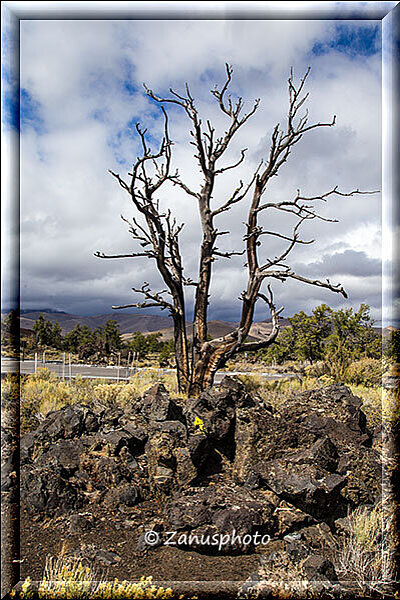 Craters of the Moon, vom Lava Flow überrollt
