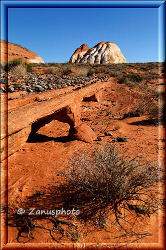 Valley of Fire, Blick auf eine Spitze der White Domes Gruppe