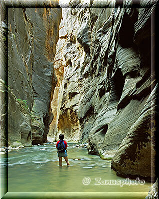 Narrows im Zion, meine Frau steht vor den hohen Wänden im Narrow Canyon